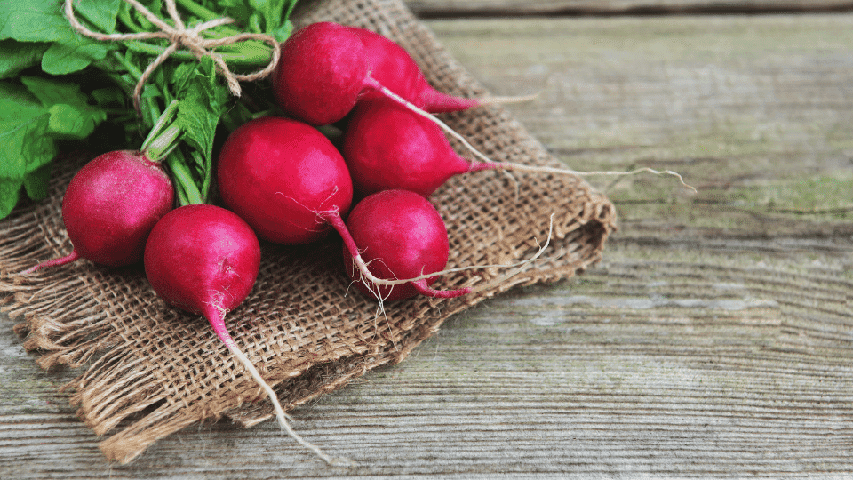 お弁当が映える簡単作り置きおかず Kotobukingdom